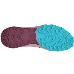 shoes DYNAFIT Traverse GTX W pale rose/burgundy