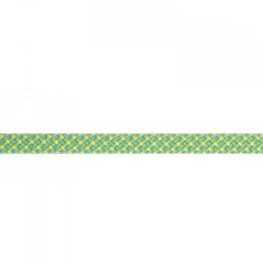 lano BEAL Stinger III 9.4mm Dry Cover 80m anis