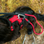 Mountain Paws Dog Harness S red - kutyahám