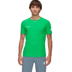 Koszulka MAMMUT Aenergy FL T-Shirt Men pinea