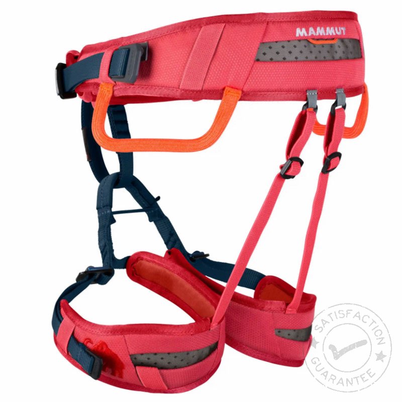 Детска седалка MAMMUT Ophir Kids barberry