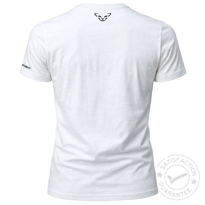 DYNAFIT Promo Graphic M S/S Tee nimbus - Camiseta