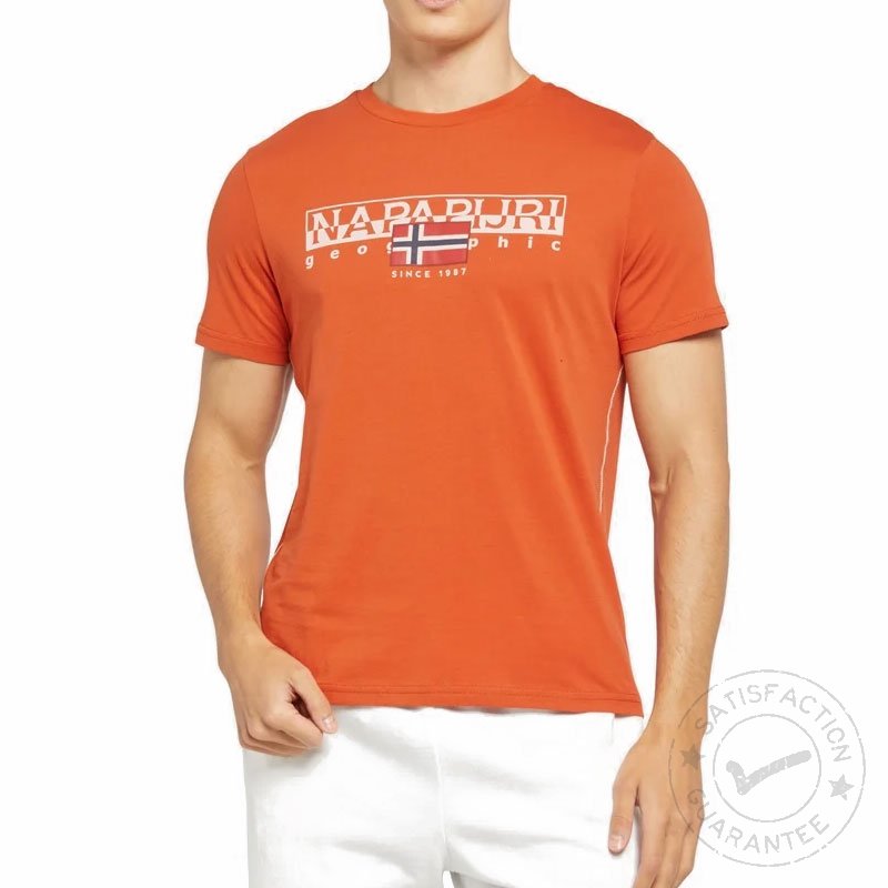 NAPAPIJRI S-Aylmer orange burnt - T-särk