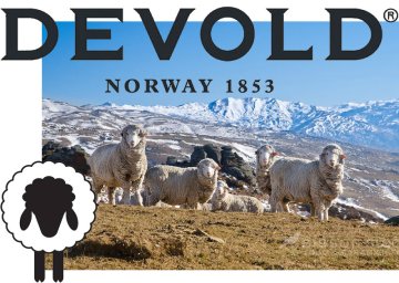 Merino - edu võti mitte ainult mägedes