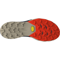 DYNAFIT Alpine Pro 2 rock khaki/blueberry