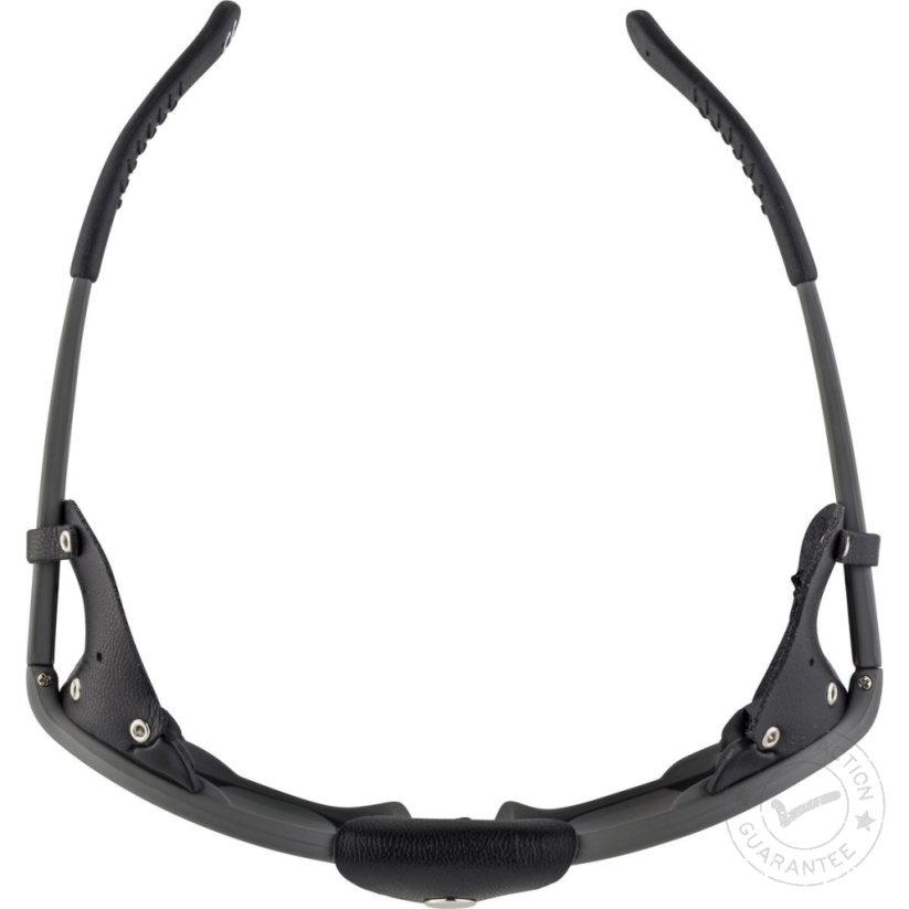 Alpina SIBIRIA tin matt-black - Sonnenbrille