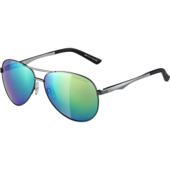 Ochelari de soare Alpina A 107 gun matt