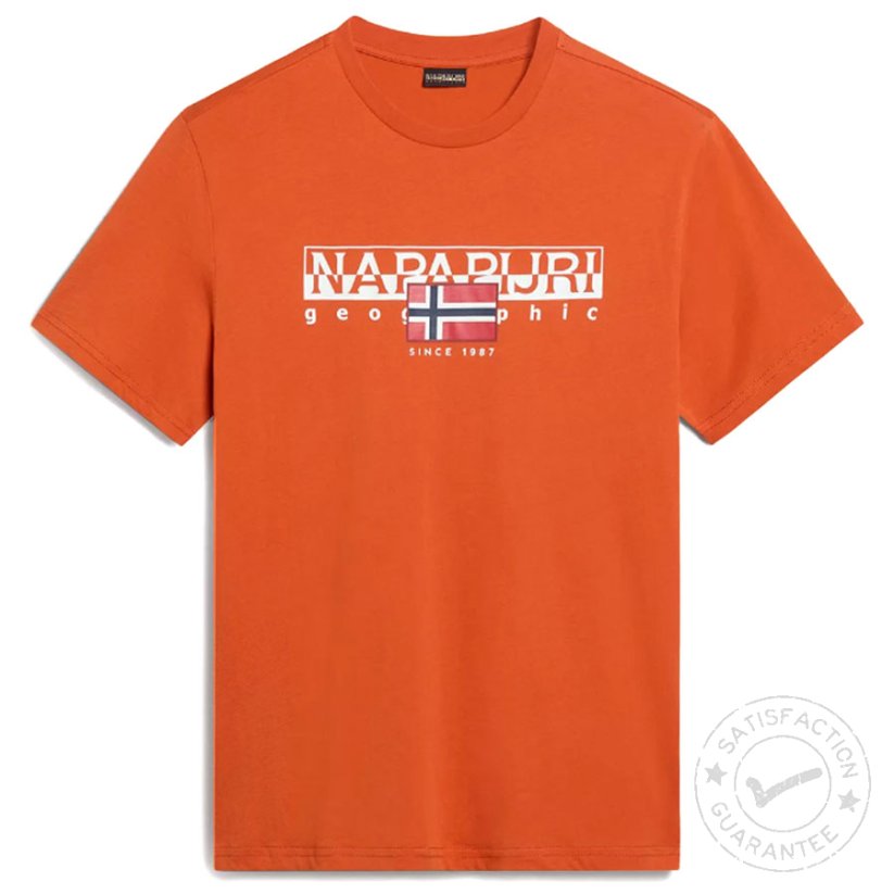 NAPAPIJRI S-Aylmer orange burnt - T-särk