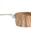 ALB Wood 2pack