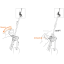 Asegurador de escalada PETZL Grigri Plus orange