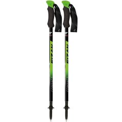 FIZAN Compact nero/verde - Bastoncini da trekking