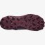 SALOMON Wildcross India Ink/Wine Tasting