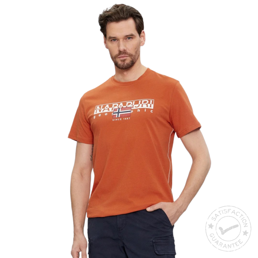 NAPAPIJRI S-Aylmer orange burnt - T-särk