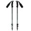 BLACK DIAMOND Trail Sport laurel green - Trekkingstokken