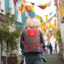 LittleLife Traveller S3 Child Carrier red/grey