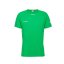 MAMMUT Aenergy FL T-Shirt Men pinea - T-särk