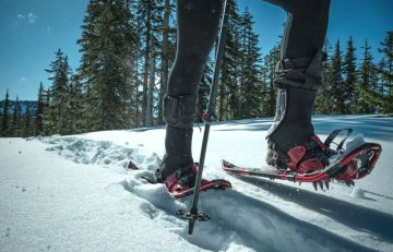 Tout savoir sur les raquettes à neige : votre guide pour l'exploration hivernale