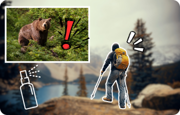 Rester en sécurité face aux prédateurs : Un guide pour explorer la nature