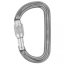 karabína PETZL Am'D Screw-Lock gray