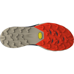 DYNAFIT Alpine Pro 2 rock khaki/blueberry