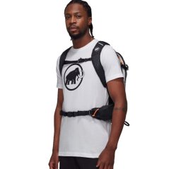 Plecak MAMMUT Lithium 15 platinum/black