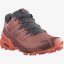 SALOMON Speedcross 5 W Brick Dust/Persimon
