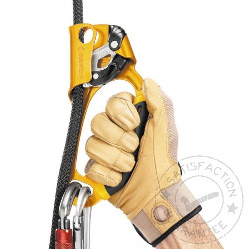 PETZL Ascension B17 ARN + B17 ALN