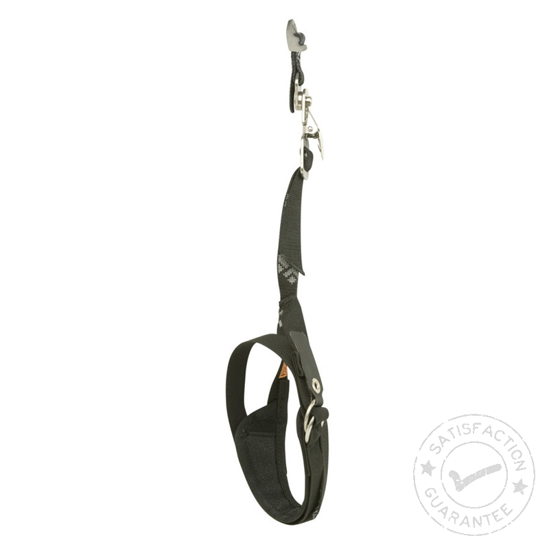 BLACK DIAMOND Cobra/Viper Android Leash
