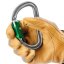 karabína PETZL AM'D PIN-Lock