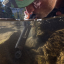 filter na vodu LIFESTRAW Peak Straw Dark Mountain gray