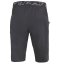 DIRECT ALPINE Campus Short 1.0 anthracite