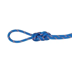 MAMMUT 7.5 Alpine Sender Dry Rope 60m blue - Klimtouw