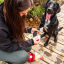 Mountain Paws Compact Dog First Aid Kit