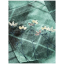 Camisa CHILLAZ Similaun 2.0 Flower Mint