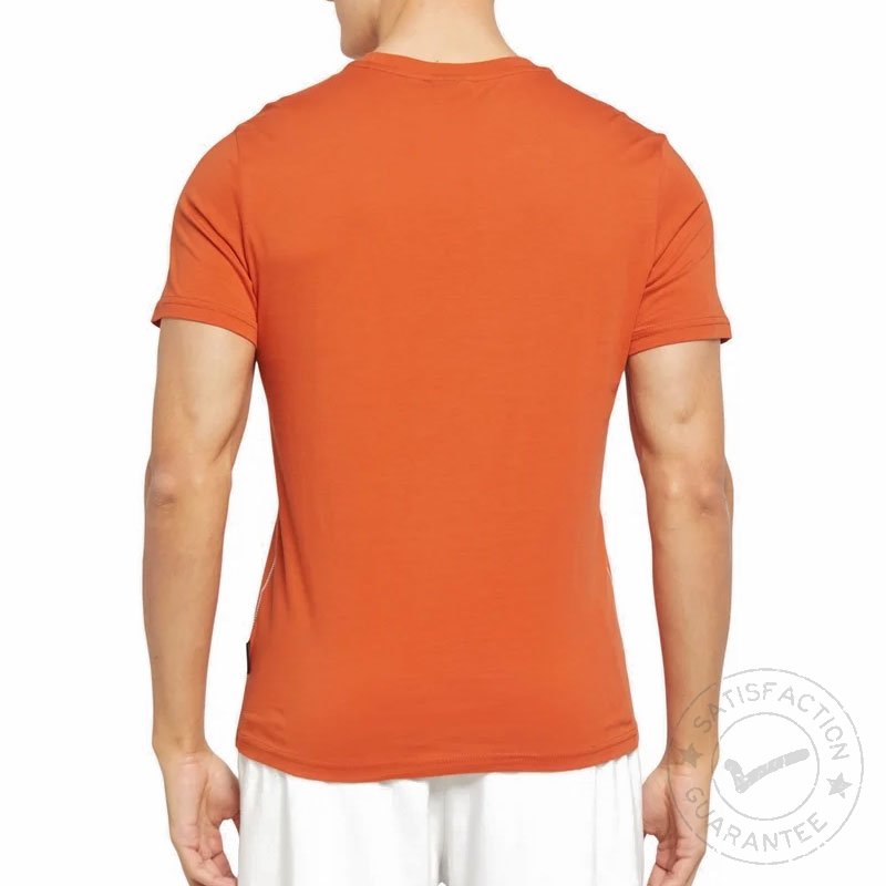 NAPAPIJRI S-Aylmer orange burnt - T-särk