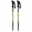 Bastones de trekking FIZAN Compact green