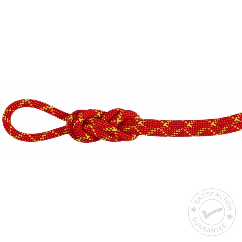 MAMMUT 8.0 Alpine Core Protect Dry 60m fire/halo - Touw