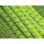 Coarda SINGING ROCK Storm 9.8mm 50m green