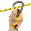 karabína PETZL Vertigo Twist-Lock