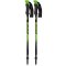 FIZAN Compact nero/verde - Bastoncini da trekking
