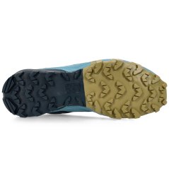 DYNAFIT Traverse GTX storm blue/blueberry - Chaussures
