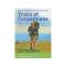 Oleg Yamalov - Trails of Carpathians