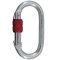 CAMP Steel Oval Standard Lock - Stalen karabiner