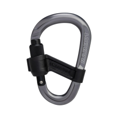 Carabiner MAMMUT Smart HMS 2.0 Screw-gate grey