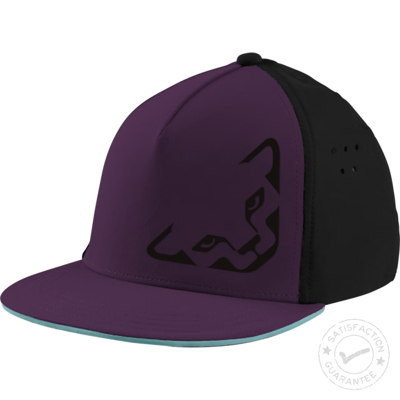 DYNAFIT Tech Trucker cap royal purple