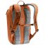 Rucsac DEUTER StepOut 16 chestnut-ivy