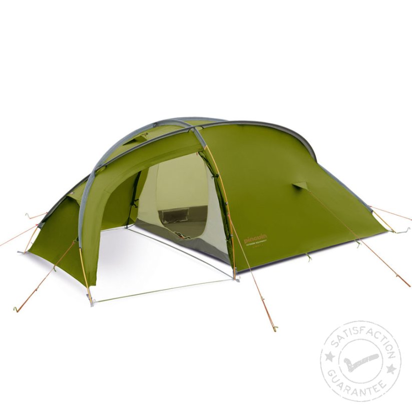 Cort PINGUIN Summit 3 green