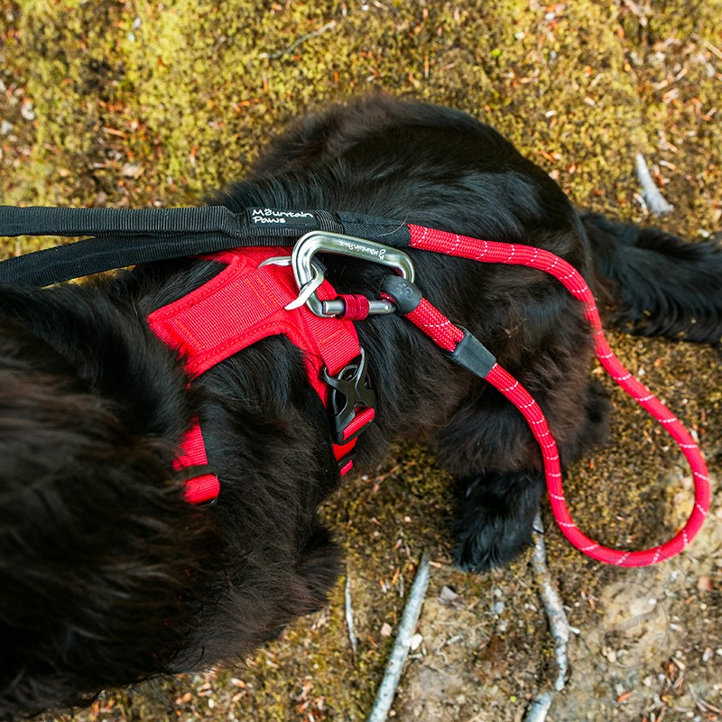 Mountain Paws Dog Harness S red - kutyahám