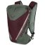batoh DYNAFIT Traverse 22 XS/S sage/burgundy