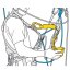 PETZL Asap Lock - mobiilne kukkumispidur